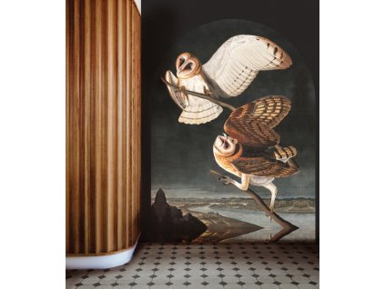WALLCOLORS Owls wallpaper - tapeta